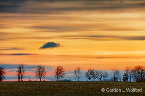 Laneway Trees At Sunrise_15582-5.jpg - Photographed near Richmond, Ontario, Canada.